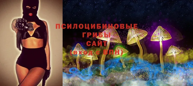 Псилоцибиновые грибы Magic Shrooms  Макушино 